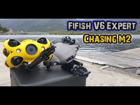 Qysea Fifish V6 Expert and Chasing M2 , Underwater FPV Exploring