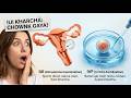 Egg Freezing After 30 Explained | Fertility Preservation 3D