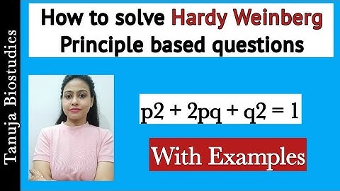How to solve Hardy Weinberg Principle based questions | Evolution | Class 12 Biology /NEET /AIIMS