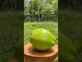 Woow Beutiful coconut !!! Coconut cutting, subscribe and like #fruit #cuttingskills #coconut