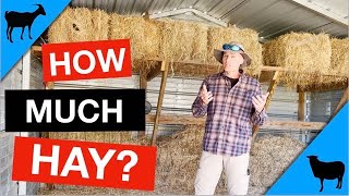 How Much Hay Do Goats and Sheep Need?