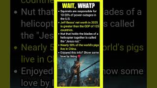 Famous Is Jeff Bezos' 2025 net worth really greater than the GDP of 125 countries? Wealth