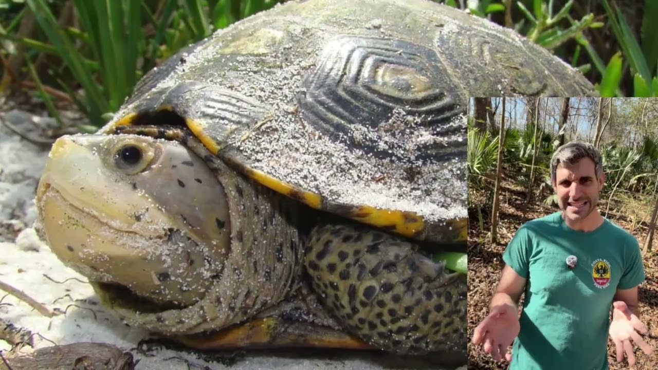 Nature and Wildlife News From This Past Week