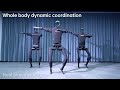 Unitree H1 Intelligent Bionic Humanoid Robot : video thumbnail 1