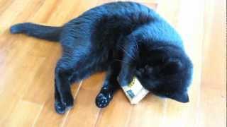 Кошка Тина и оливковое мыло - 2(, 2012-03-17T05:06:16.000Z)