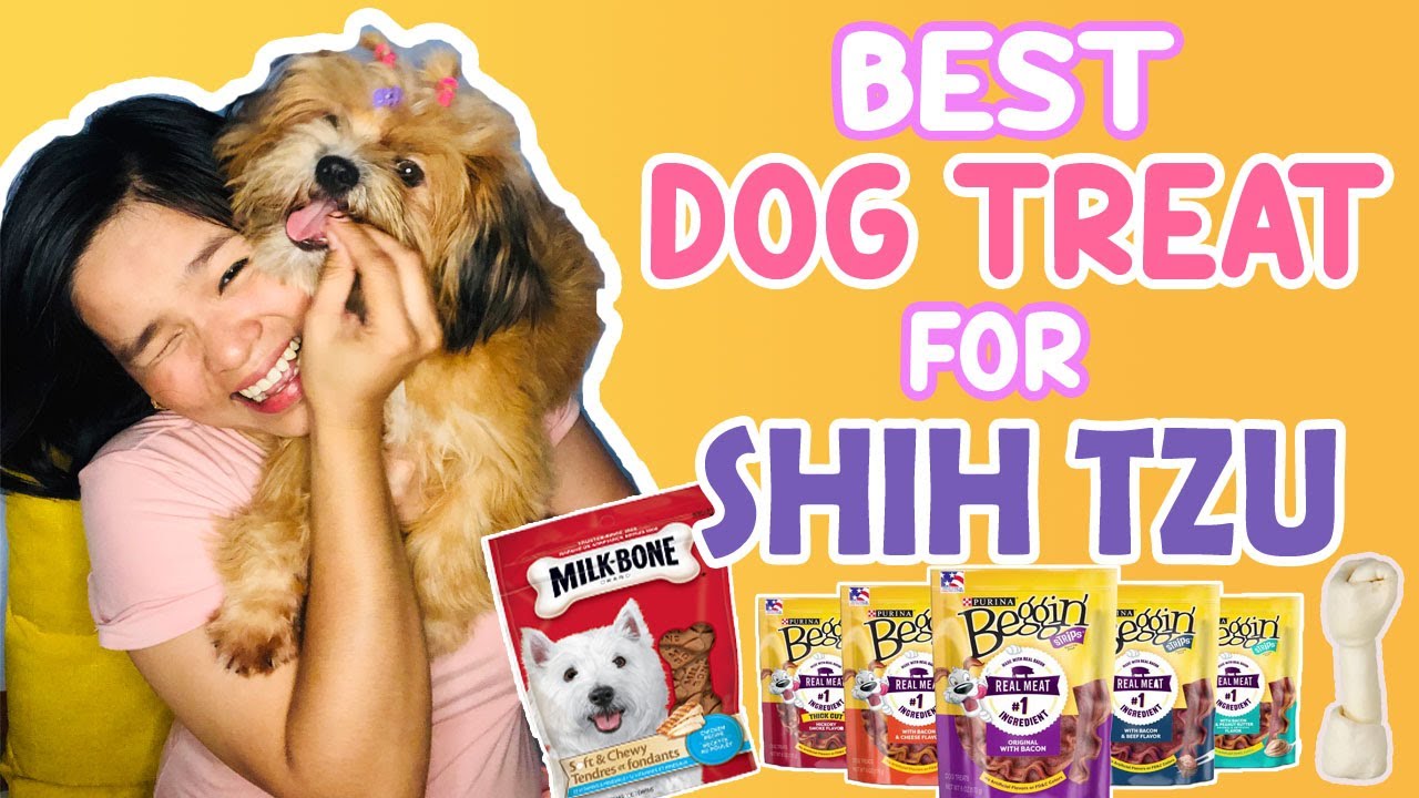 shih tzu dog treats