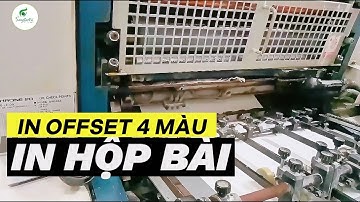 Khám Phá Hoạt Động Của Máy In Offset 4 Màu l Hộp Giấy Sáng Tạo Trẻ