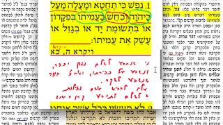 הדף יומי- זבחים קיד 114 ראשון כ״ד  אב  תשע״ח
