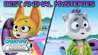 @CreatureCases - 🦊🕵️‍♂️ Best Animal Mysteries! 🕵️‍♂️🦊 | Kit and Sam |  @OctonautsandFriends by Octonauts and Friends 592 views 3 days ago 12 minutes, 9 seconds