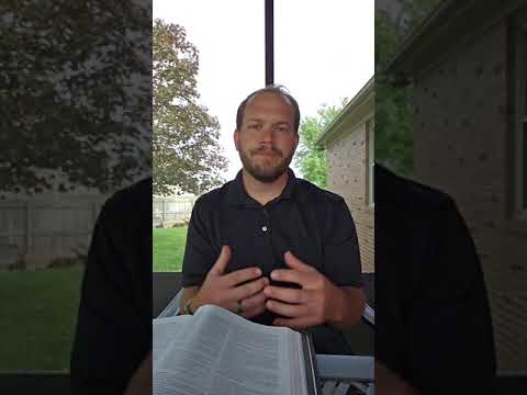 Video preview