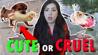 PET YOUTUBER Reacts - Are These Pet Videos CUTE or CRUEL? by Emzotic 79,188 views 2 years ago 21 minutes