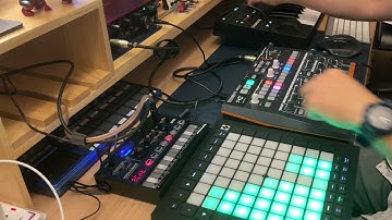 Circle of Lights - Jam session: Drumbrute Impact Volca Nubass Launchpad Pro MK3 Komplete Kontrol A25
