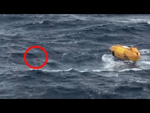 Thumbnail for Passengers on This Disney Cruise Spotted Something in the Sea That Shocked Them
