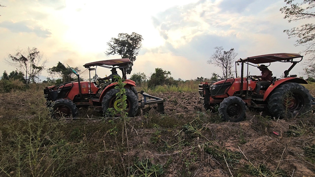 Kubota SU 6240 SU 6040 គាស់ដំឡូងមី
