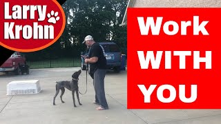 Teaching a dog to work with you