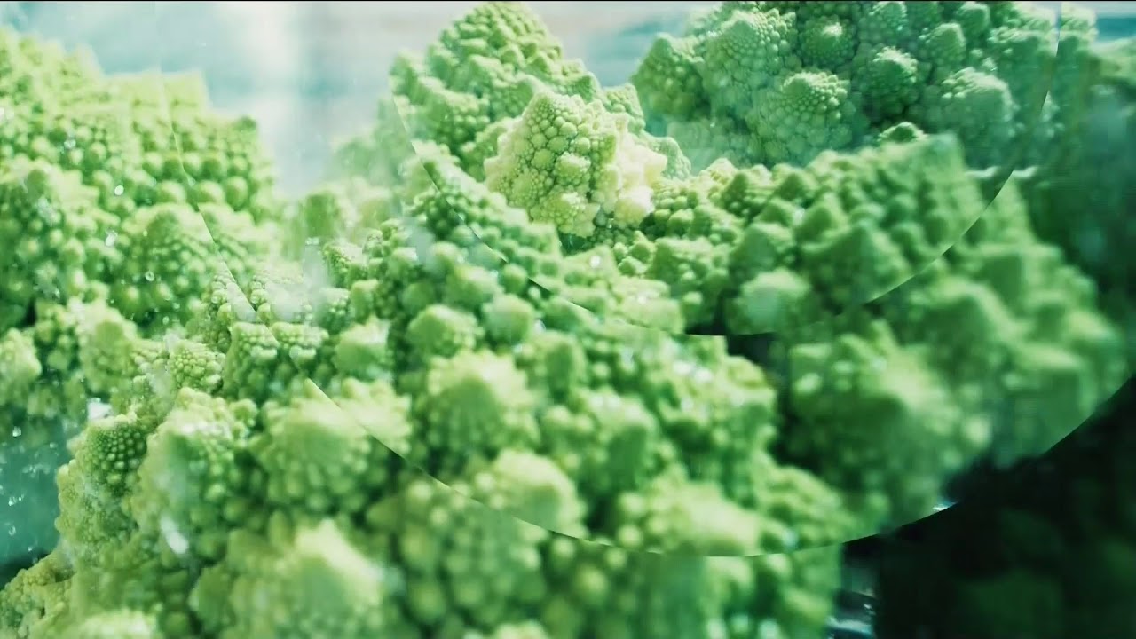 Kuchnia+ - Zakończenie i rozpoczęcie programu z dn. 15.10.2017