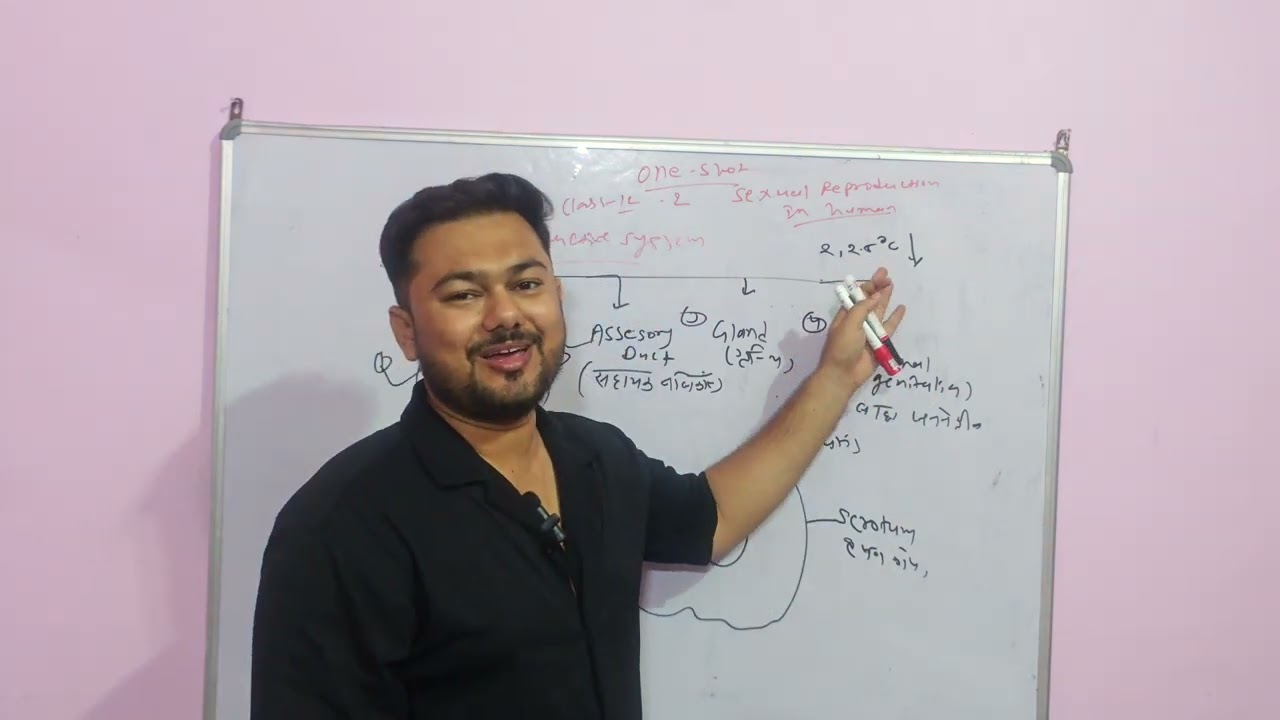 One shot Human Reproduction Complete unit 2 Class 12 biology