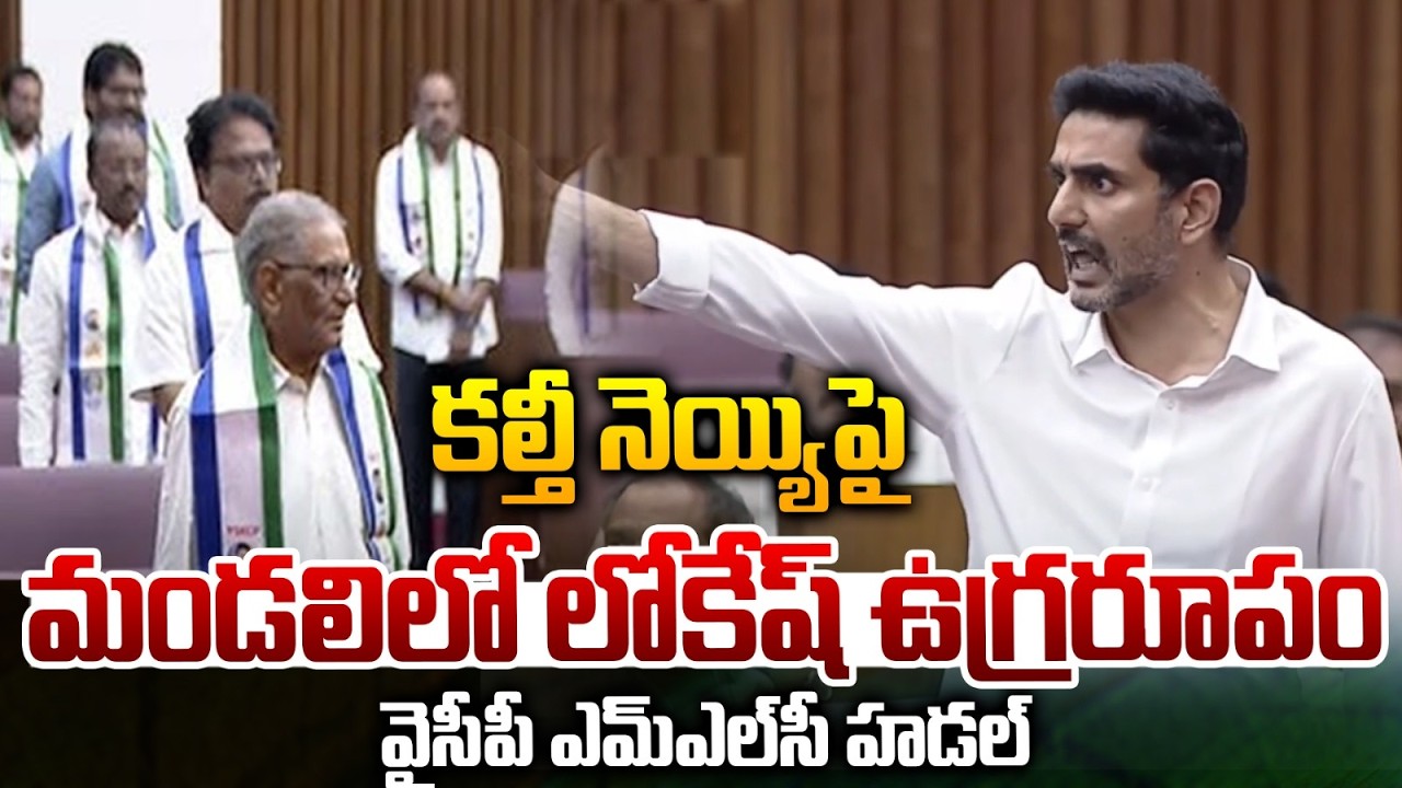 Minister Nara Lokesh Fire : కల్తీ నెయ్యిపై మండలిలో లోకేష్‌ ఉగ్రరూపం | AP Legislative Council | WWT