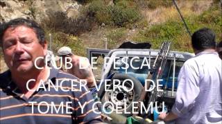 NOTAS DE REBECAMUSICALES EN LA OCTAVA REGIÓN PLAYA PERALES