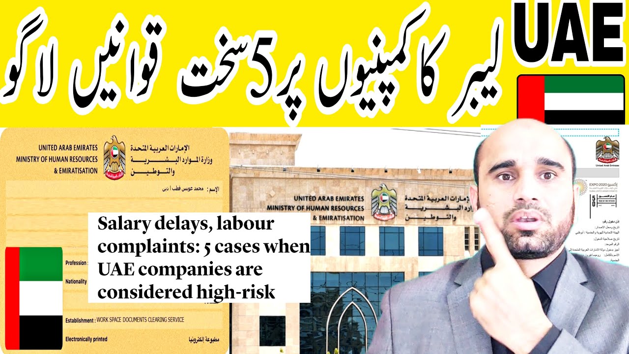 Salary delays, labour complaints: 5 cases when UAE companies are ...