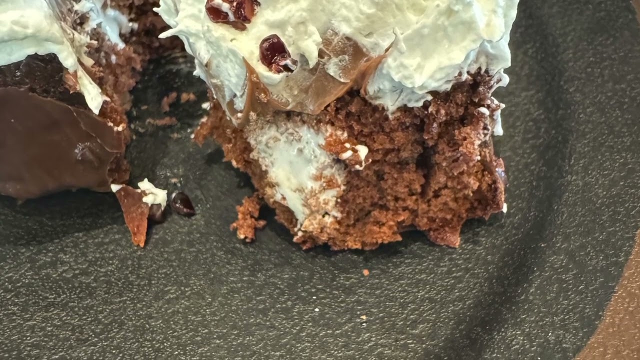 Review of the Atlas Chocolate Cake from the Meteor Astropub at Epic Universe
