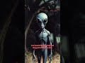 Lore &amp; Order #cryptids #monsters #mysteries