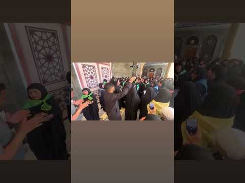 زينب من اجت محد تلكاها