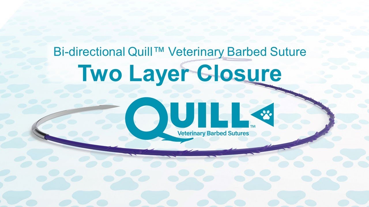 Bi directional. Quill barbed logo.