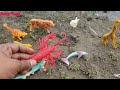 River Treasure Hunt: Finding Animals, Dinosaurs, and Vehicles in the Water!