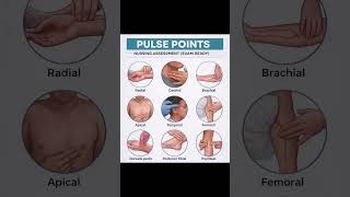Pulse point of human body #examcentre | norcet |
