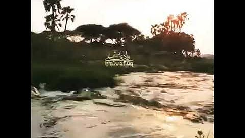 ❤تلاوة مباركة من طفل جميل ❤جودة عالية ❤