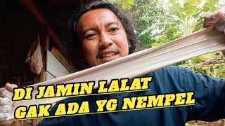 Membuat racikan pulut anti bau,anti lalat 👍