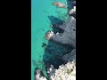 🌊Esplora le meraviglie della Costa degli Dei!