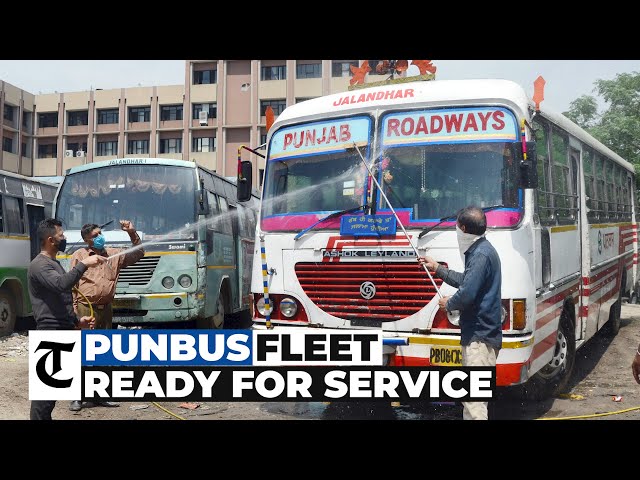 Precautions In Place Bus Service For Jalandhar To Resume Today