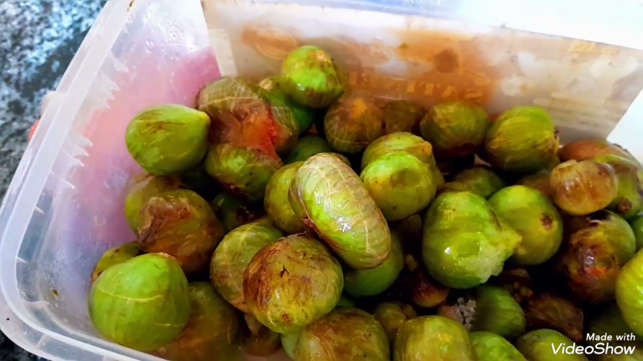 معجون التين طريقة التحضير