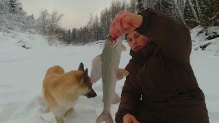 Зимняя рыбалка на хариуса под конец декабря 2022. В поиске хариуса. Этот хорёк сделал всю рыбалку.