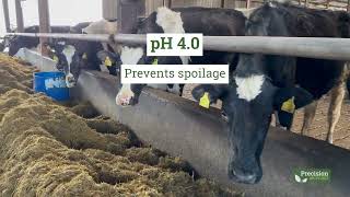 Make Better Silage with Precision Microbes Silage Additive | Rapid Fermentation, Real Results