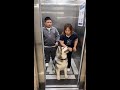 Positive energy funny videos