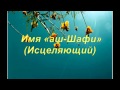 17. Имя «аш-Шафи» (Исцеляющий)