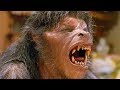 AMERICAN WEREWOLF IN LONDON Transformation HD