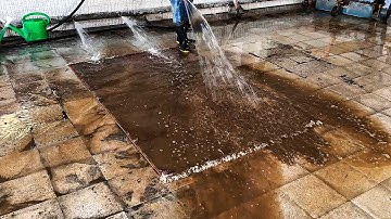 Sewer overflow: lncredible dirty carpet cleaning satisfying ASMR