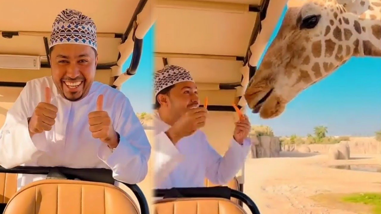 تغطية محمد المخيني في العين😍🤩😍🤩 محمد المخيني