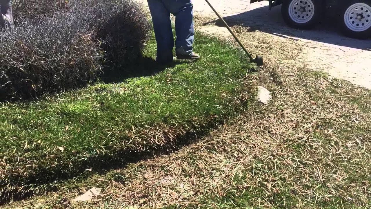 Spring clean up & mulch installation project, before & afters. Virginia beach, Va. 757-292-9415