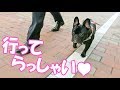 大好きなパパの出勤を駅までお見送り♡