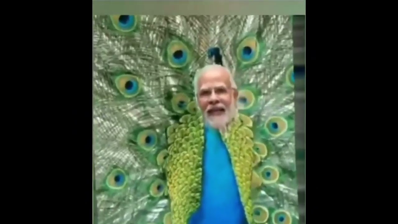 National bird of India    nationalbird  india  narendramodi  funny