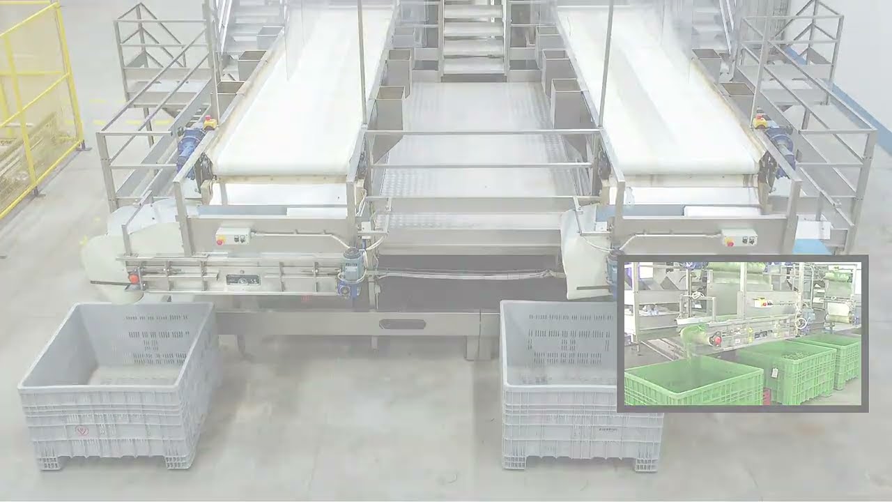 Alutec Food green beans post-harvest equipment