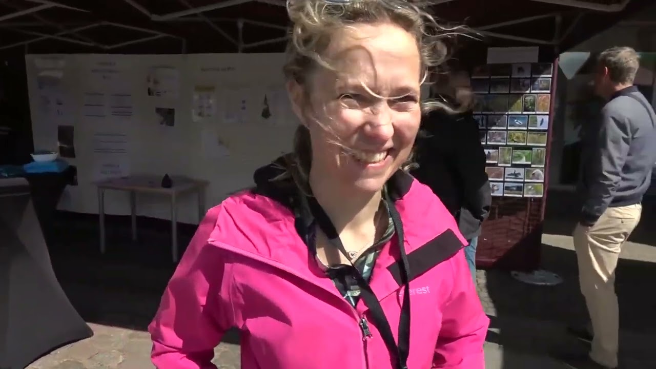 Snacka om Landskrona