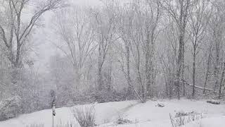 Snowing  Winter In Pennsylvania  January 16, 2021  #EROCKISJ80 #Snowing #Winter #WinterSnowFall