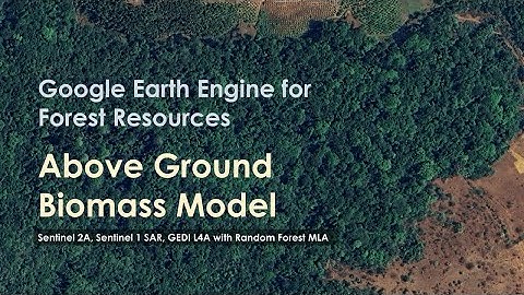 Above Ground Biomass Modelling in Google Earth Engine (GEE) without field data. 