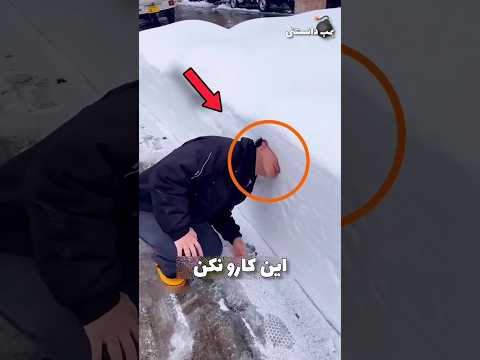 هیچ وقت نباید تو برف شیرجه بزنی
